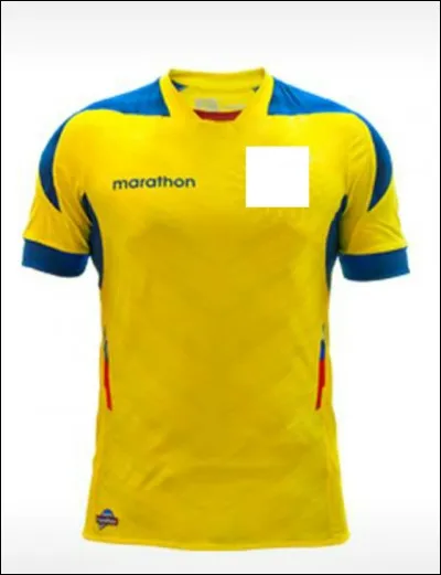 Quel pays joue avec ce maillot ?