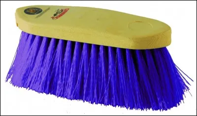 Comment s'appelle cette brosse ?