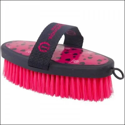Comment s'appelle cette brosse ?