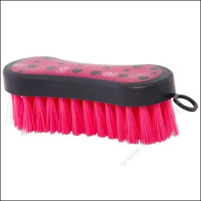 Comment s'appelle cette brosse ?