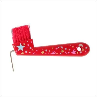 Comment s'appelle cette brosse ?