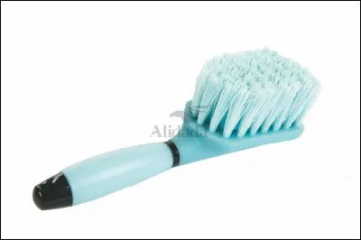 Comment s'appelle cette brosse ?