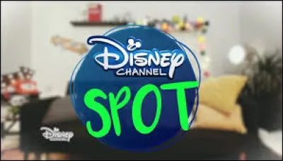 Quelles sont les personnes qui font "Disney Channel Spot" ?