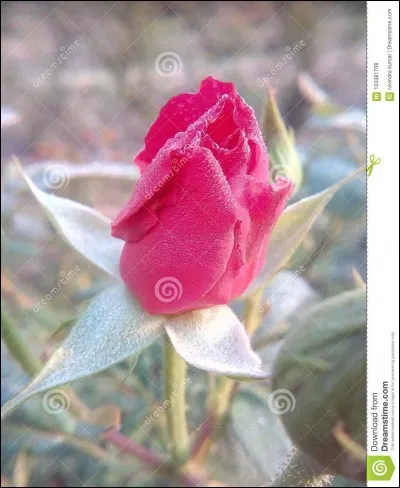 Quelle est, pour vous, la plus importante qualité chez une personne ?