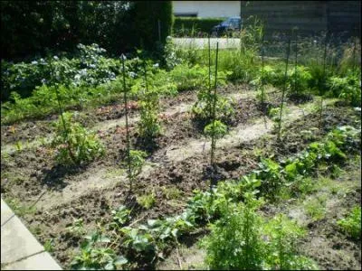 On ne dit pas ''elle a un potager'' mais: