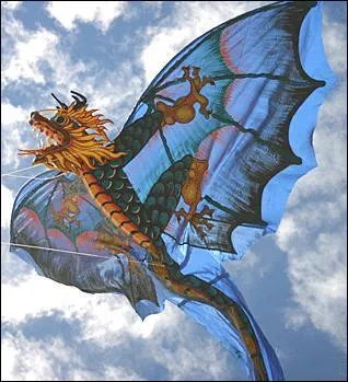 On ne dit pas ''il a un cerf-volant'' mais: