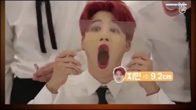 Quel est ton idéal féminin ?