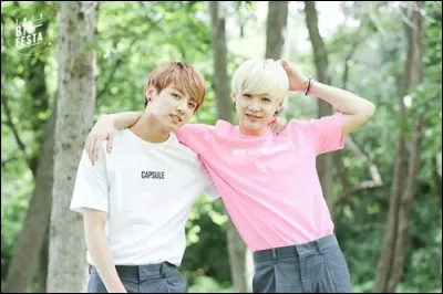 Si tu devais partir avec un seul membre de BTS, lequel choisirais-tu ?