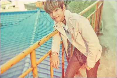 Qui dit que V est très pointilleux et difficile quand il s'agit de filles ?