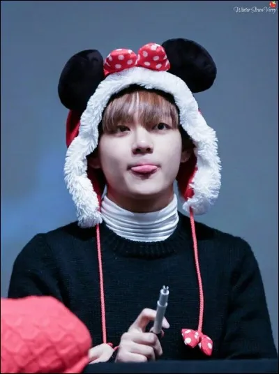 À la question "Si tu avais le super pouvoir de parler à des inhumains, tu aurais aimé parler à quoi ?" V a répondu :