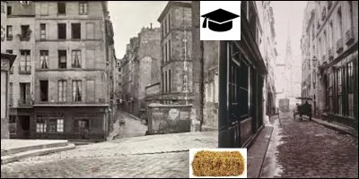 Allons « rue du Fouarre » !
Dans cette rue, il y avait plusieurs universités. Le jour les étudiants suivaient leurs cours dehors. La nuit, ils faisaient leurs « travaux pratiques », pour rester pudique, avec les prostituées de la rue. Résultat, il fut décidé de fermer cette rue chaque nuit.
Quelle est la signification du mot « fouarre » et pourquoi ?