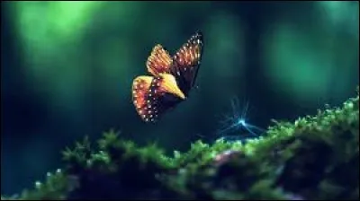 Touret, ferez tourner.