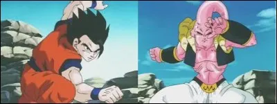 De quel combat sont prises les poses de Gohan et de Buu Gotrunks absorb&eacute;s ?