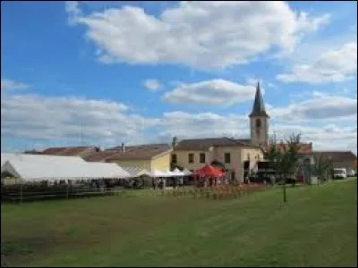 Je vous emm&egrave;ne dans le Grand-Est, &agrave; Rozelieures. Dans ce village du Lun&eacute;villois, nous y visiterons la maison de la mirabelle. Pour ce faire, direction de la d&eacute;partement ...