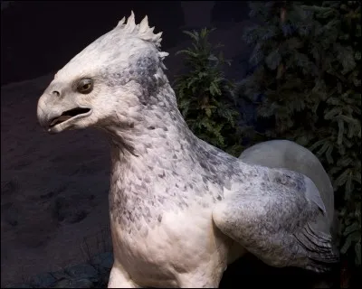 Qui a commandé l'exécution du tout mignon Buck ?