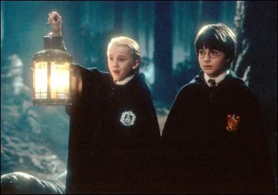 Qu'envie Drago à Harry ?