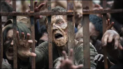 Quel est le nom de cette série ?