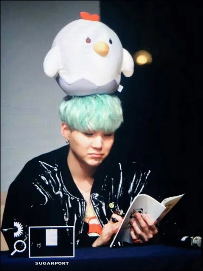 Quel est son nom de scène (carrière solo) ?