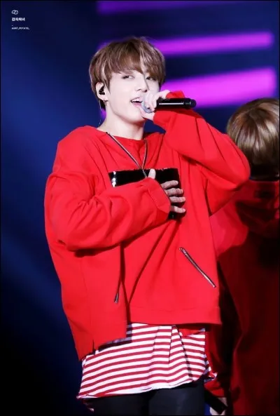 Pourquoi son surnom est-il "GoldenMak" (Golden Maknae) ?