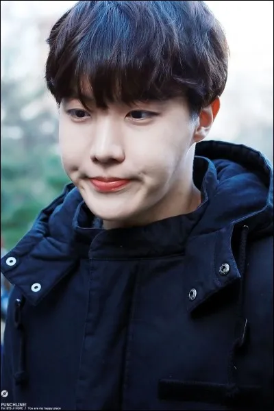 Pour le jour de l'an J-Hope &eacute;tait seul ; qui est venu lui tenir compagnie ?