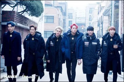 Que signifie "VIXX" ?