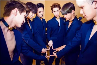 Combien y a-t-il de membres dans le groupe ?