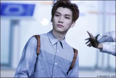 Quel est le nom des fans ?