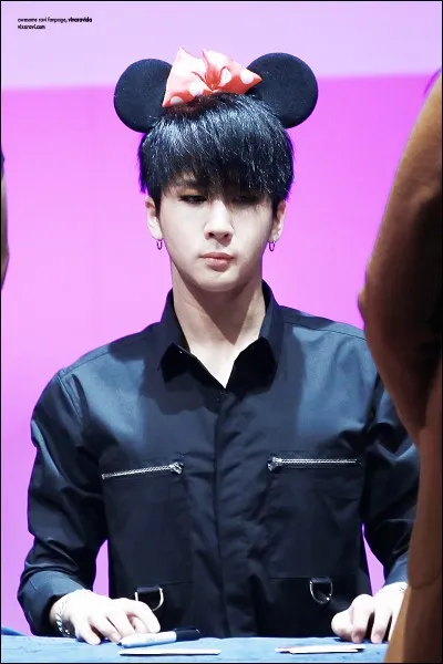 Qui compose le sous-groupe de VIXX ?