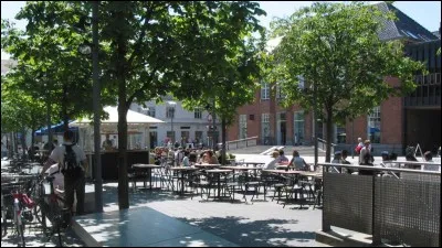 Herning, peuplée de 60 000 habitants est l'une des rares villes de ce quizz qui soit éloignée de la mer - à 50 km. Dans quel pays se trouve-t-elle ?