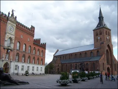 Odense, peuplée de 150 000 habitants, est l'une des plus importantes villes du pays. Dans quel pays se trouve-t-elle ?