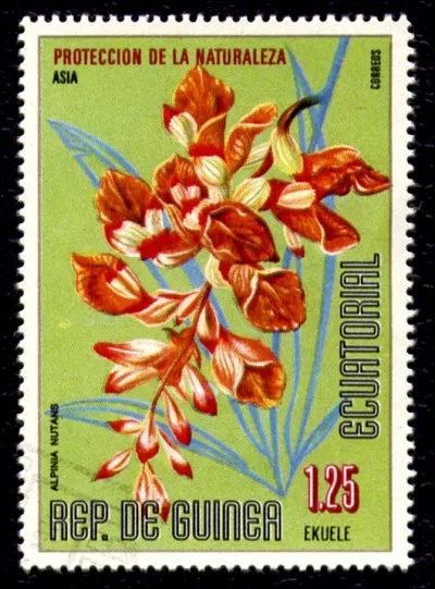 On dirait bien que les fleurs ont la brillance translucide de la porcelaine. C'est une plante dont on fait un conservateur alimentaire et qui a un goût proche de celui du gingembre. De quelle famille fait-elle partie ?