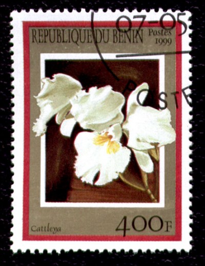Vous venez de recevoir un courrier en provenance du Bénin et vous conserverez le timbre. Quelle fleur y a-t-il ?