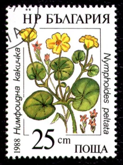 De quel genre est la plante aux fleurs jaune d'or représentée sur ce timbre parti de Bulgarie ?