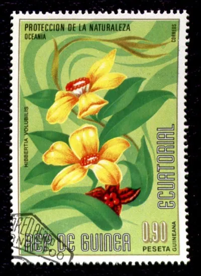 Elle porte pour nom hibbertia comme l'atteste le timbre. Plus simplement, comment la désigne-t-on ?