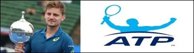 Sport - Quel joueur de tennis belge est entré dans le top 10 du classement ATP en février 2017 ?