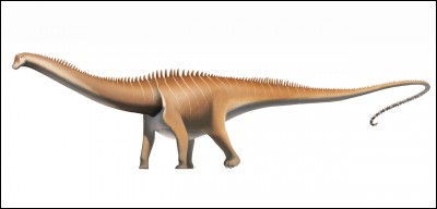 Quel était le plus grand dinosaure ?