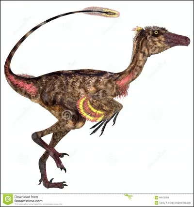 Quel était le plus intelligent des dinosaures ?