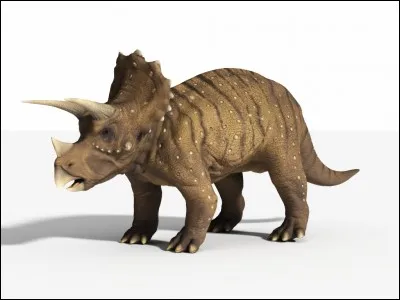 Avec quoi se défendait le tricératops ?