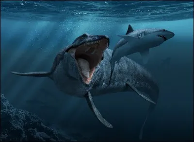 Quel était le plus grand mammifère marin ?