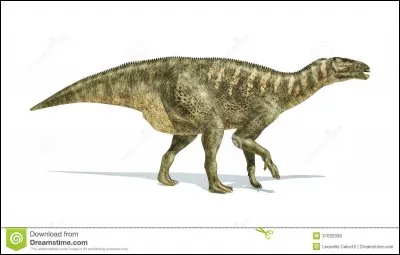 Comment se défendait l'iguanodon ?