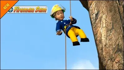 Comment s'appelle le pompier qui fait la plus grande partie des sauvetages en mer ?