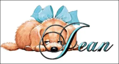 Je n'ai pas pu jouer dans "moi, moche et méchant", je suis Jean...