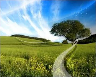 Quelle saison débute courant mars ?