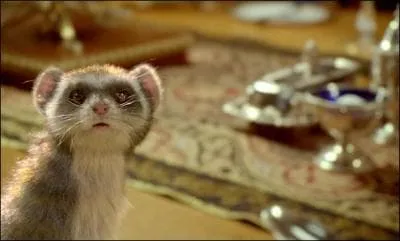 Comment s'appelle son daemon ?