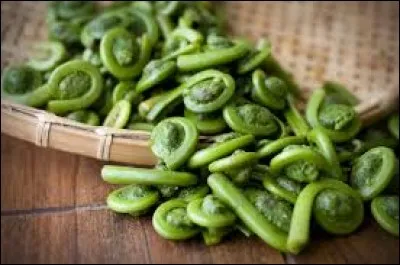 La crosse de fougère peut aussi être appelé tête de violon.