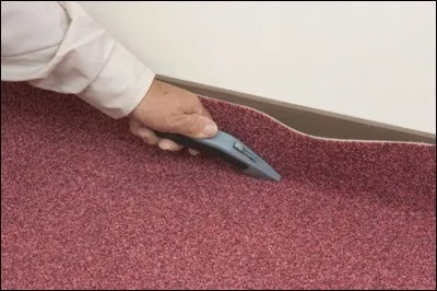 Quelle partie du corps est la plus importante, dans ce corps de métier ?