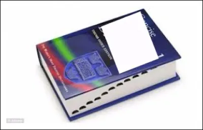 Il est d'ailleurs entré dans les pages d'un dictionnaire, mais lequel ?