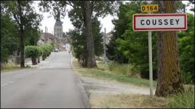 Nous sommes dans le Grand-Est, à l'entrée de Coussey. Village de l'arrondissement de Neufchâteau, au bord de la Meuse, il se trouve dans le département ...