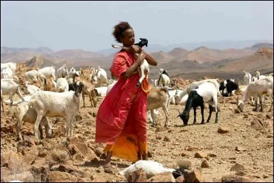 Quel est ce film sorti en 2009 ?