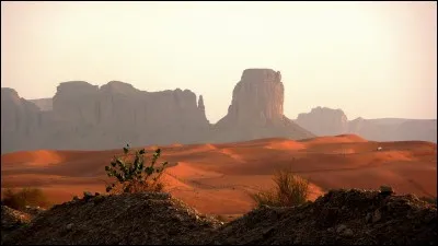 Quel est ce désert s'étendant sur 8 pays dont l'Irak, le Koweit, le Yemen, la Jordanie ?